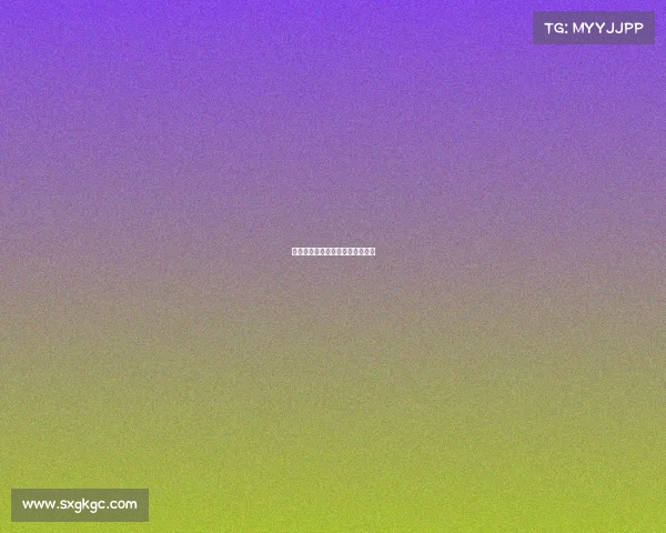 上海国际赛事、上海国际赛事数量