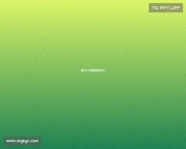 宝马dtm赛事发展、宝马dte